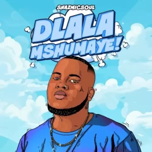 Shazmicsoul ft CowBoii – Dlala Mshumaye